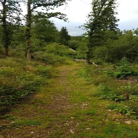 Rural Located In The Small Village Of 100 Nature Radelange