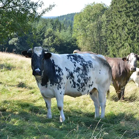 Nature Escape In Martelange Сasa de vacaciones