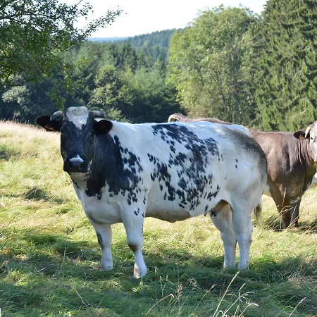 Rural Located In The Small Village Of 100 Nature Сasa de vacaciones *